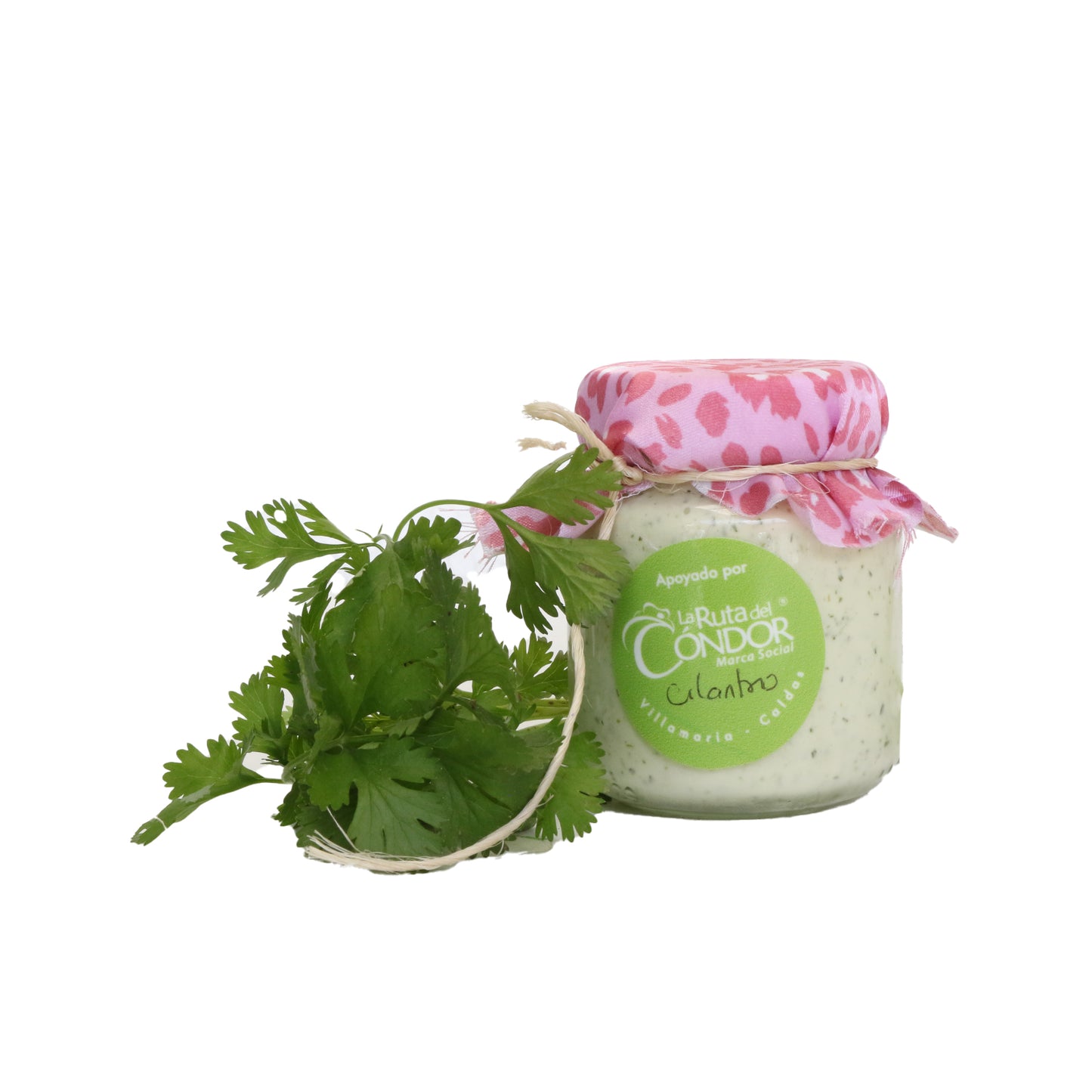Salsa de Cilantro