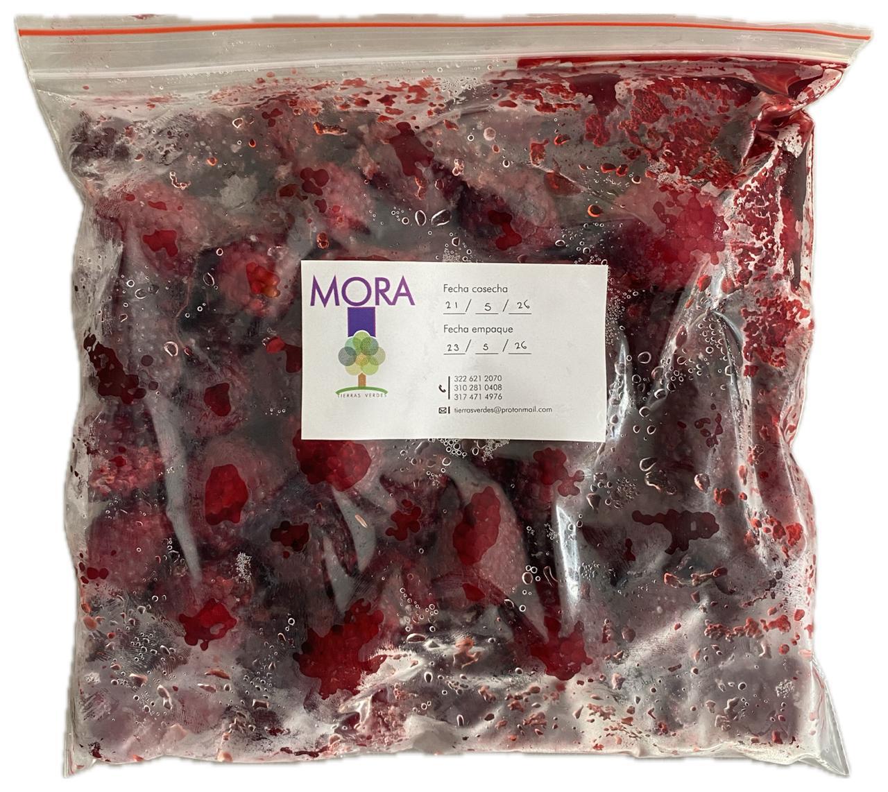 Mora Agroecologica