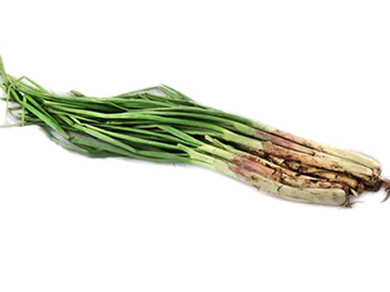 Cebolla junca - libra