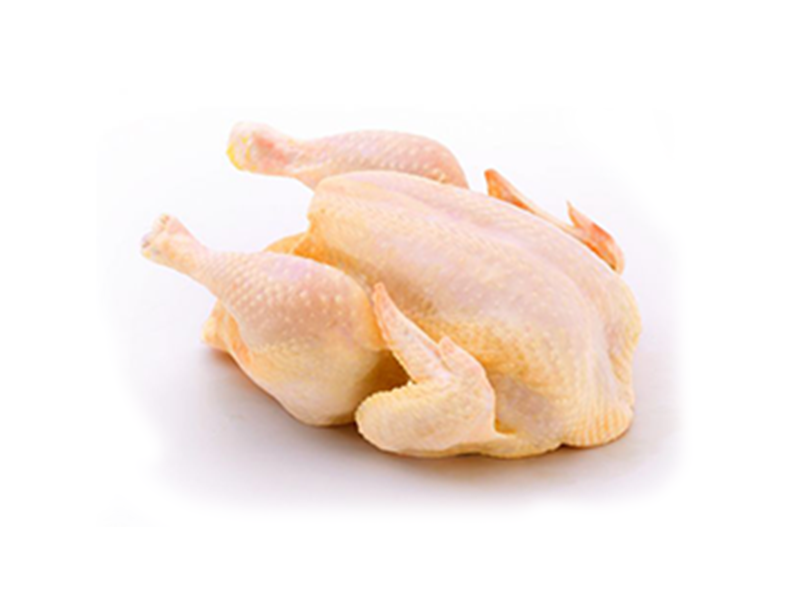 Gallina Campesina - Unidad