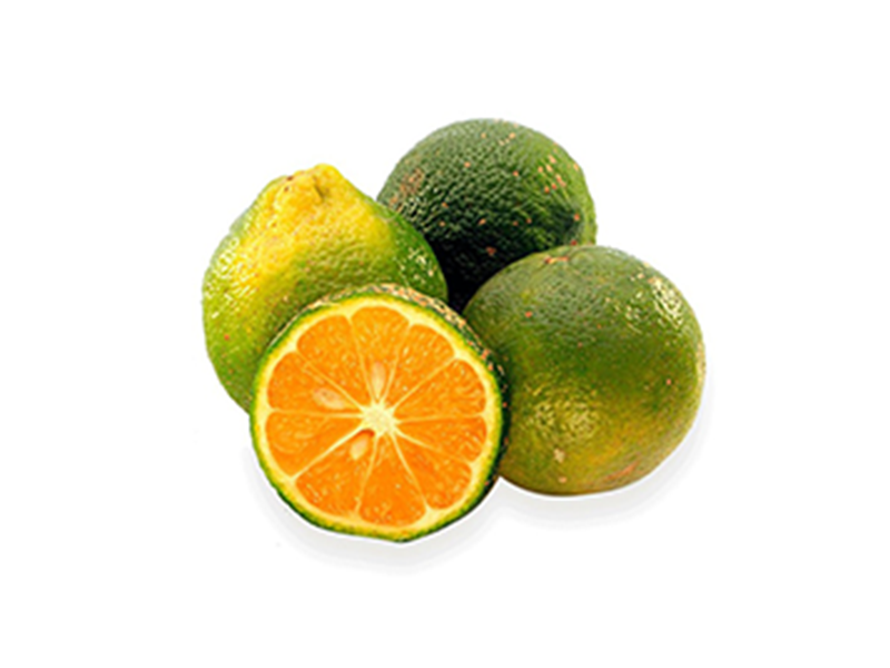 Limón mandarino - kilo
