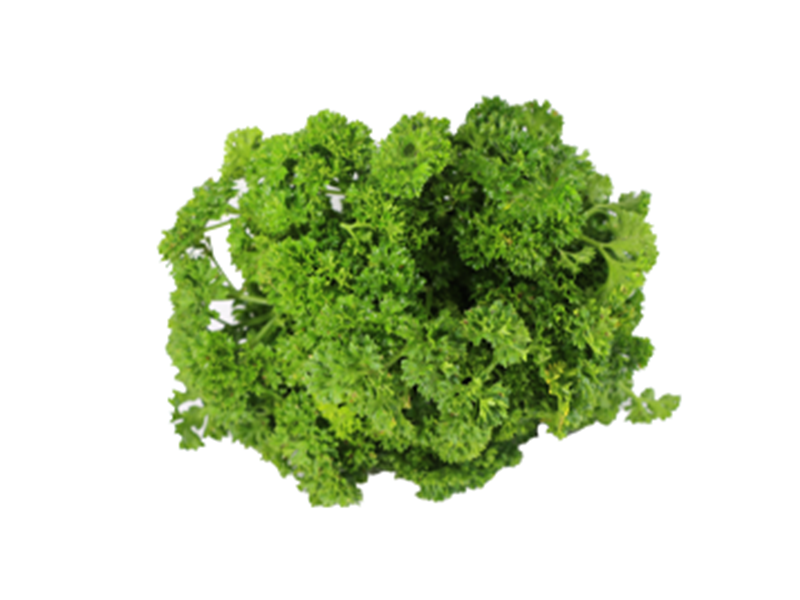 Perejil crespo - Manojo