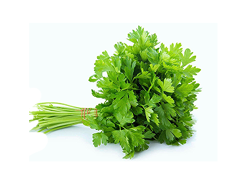 Perejil liso - Manojo