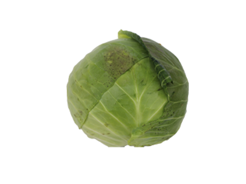 Repollo (Unidad)