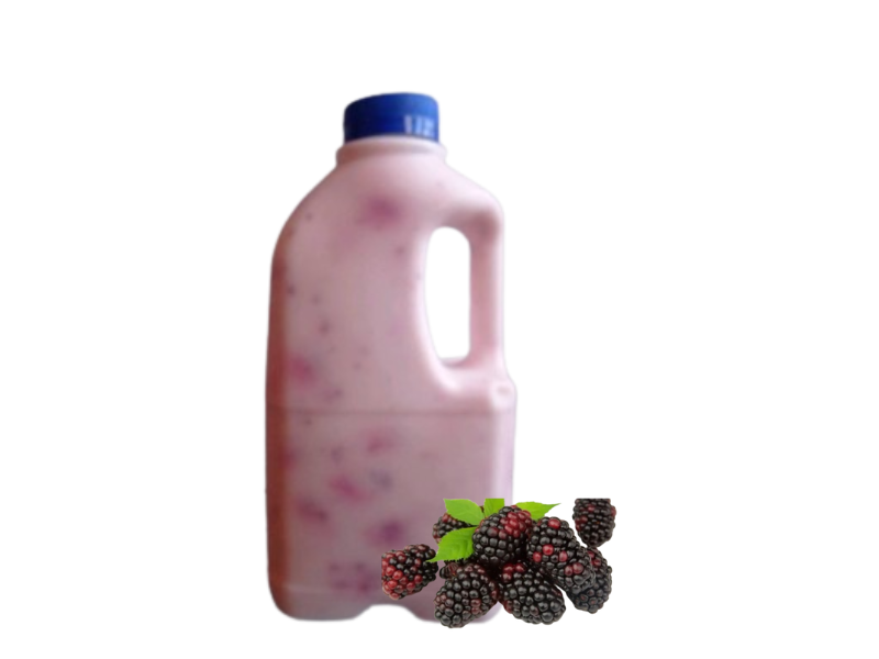Yogurt de mora - Litro