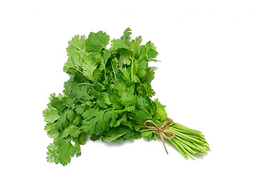 Cilantro - Manojo