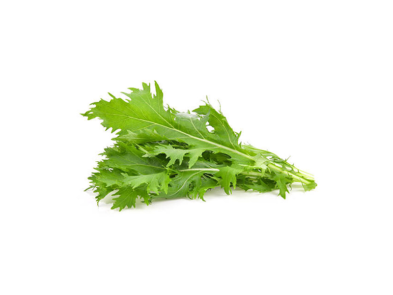 Lechuga mizuna agroecológica (Manojo)